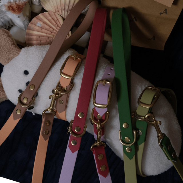 Vert fougère et avocat — Collier bicolore imperméable — URSA MAJOR