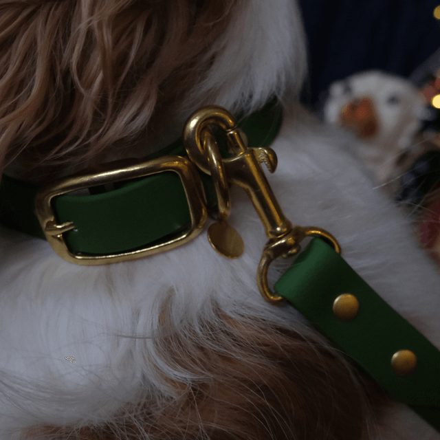 Vert fougère — Collier uni imperméable — URSA MINOR